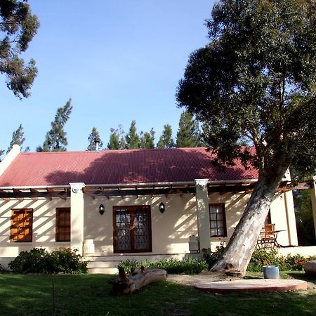 Calais Wine Estate Guest House พาร์ล ภายนอก รูปภาพ