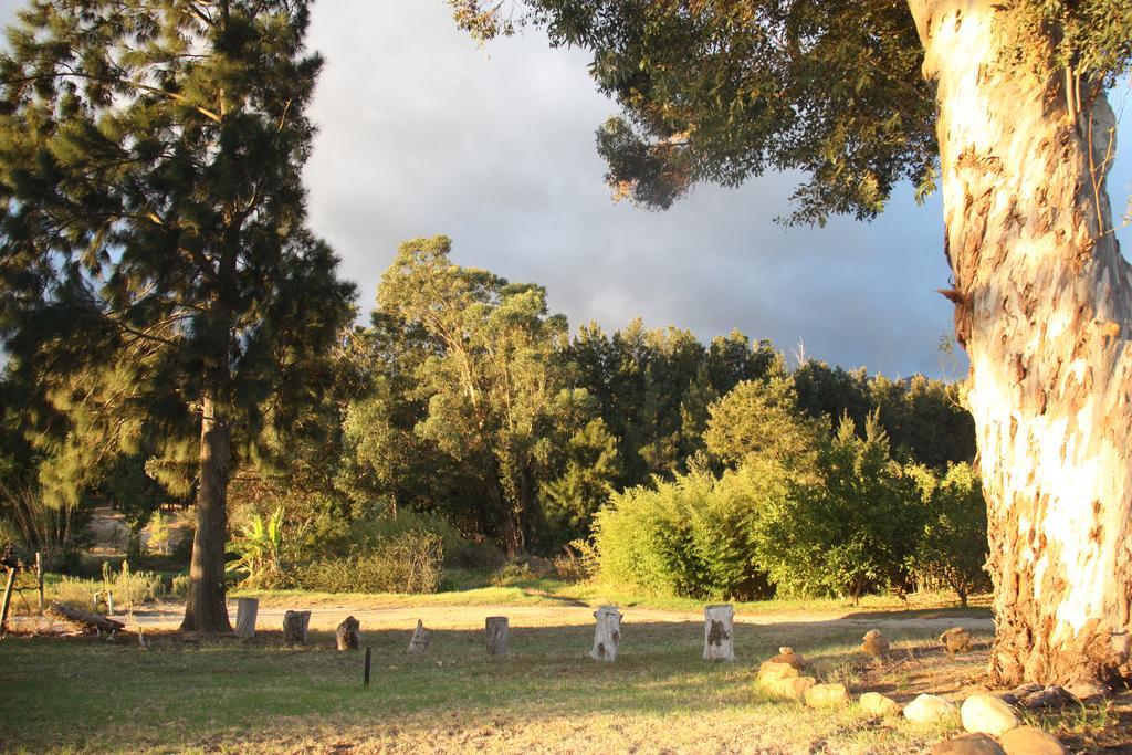 Calais Wine Estate Guest House พาร์ล ภายนอก รูปภาพ