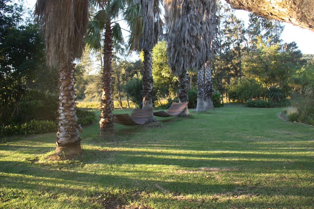 Calais Wine Estate Guest House พาร์ล ภายนอก รูปภาพ