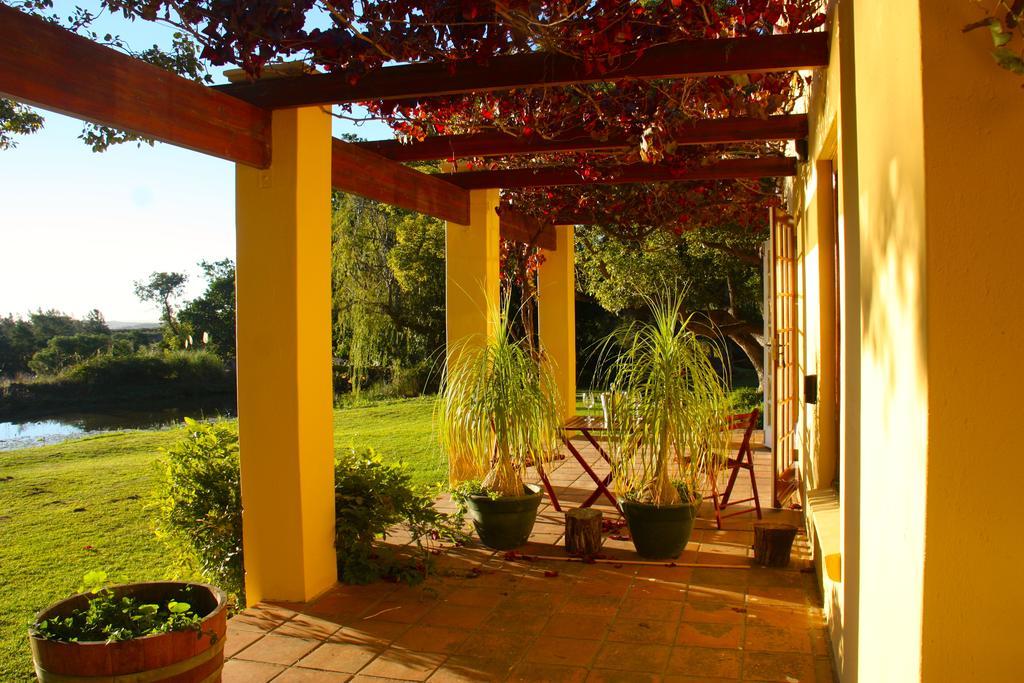 Calais Wine Estate Guest House พาร์ล ภายนอก รูปภาพ